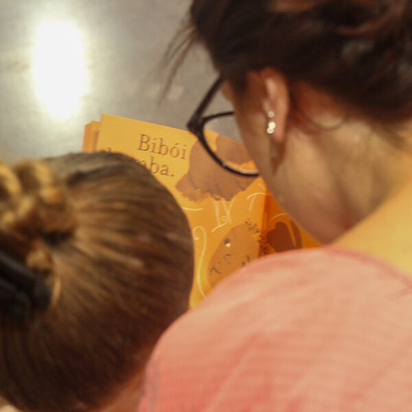 Biblioteca_capoeira_varzea_paulista_02