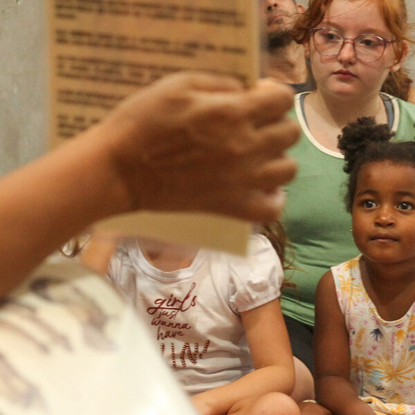 Biblioteca_capoeira_varzea_paulista_04